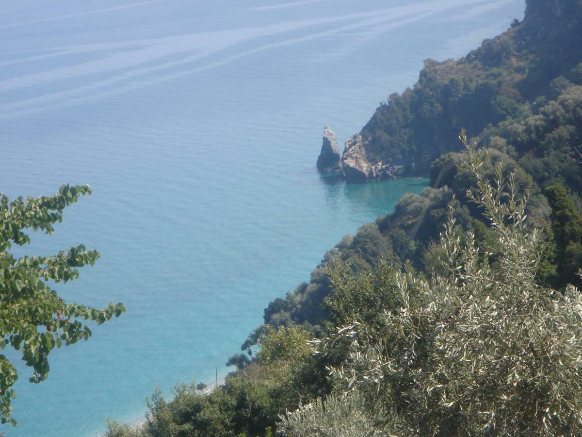 House Of The Rising Sun Βίλα Χορευτό Εξωτερικό φωτογραφία